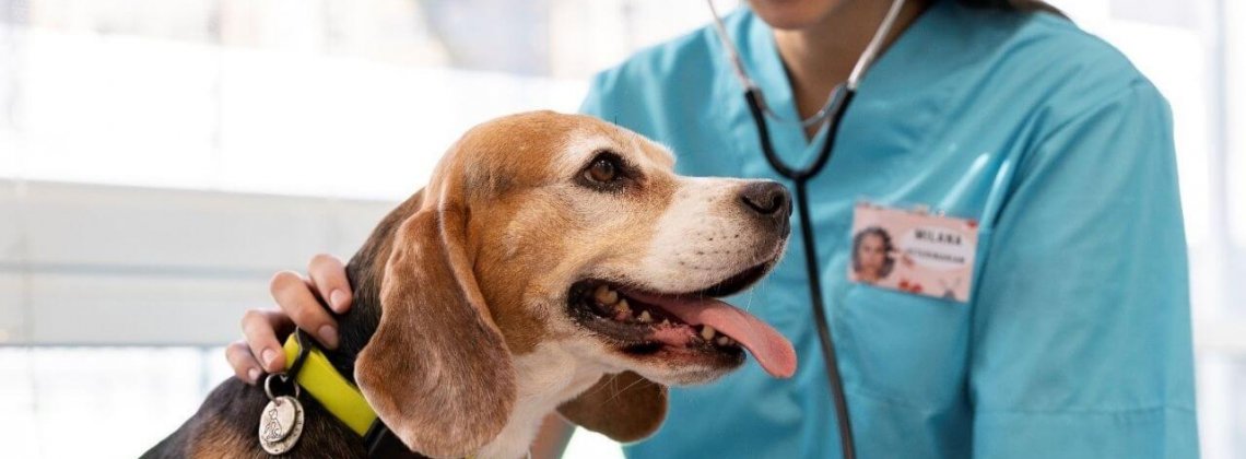 Veterinária no Canadá