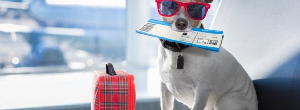 imigração animais canadá